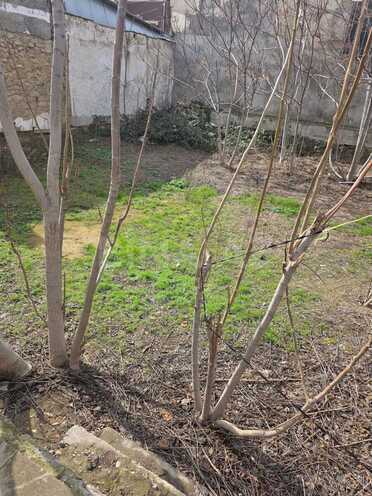 Продаётся  участок 6.5 сот, м. Гянджлик, photo 4 from 8