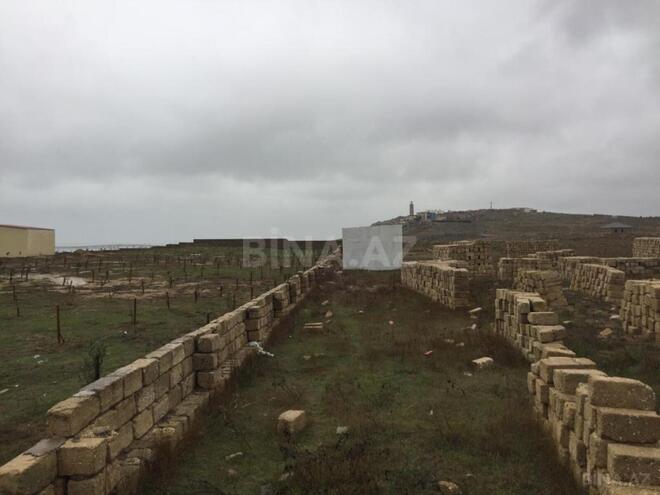 Продаётся  участок 100 сот, Пираллахи р., photo 5 from 29