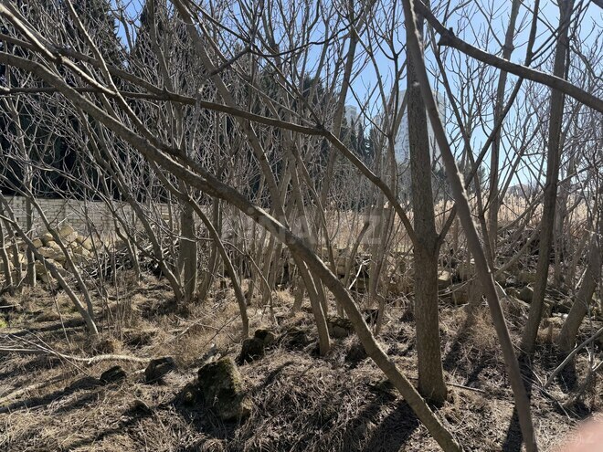 Продаётся  участок 20 сот, пос. Бадамдар, photo 5 from 9