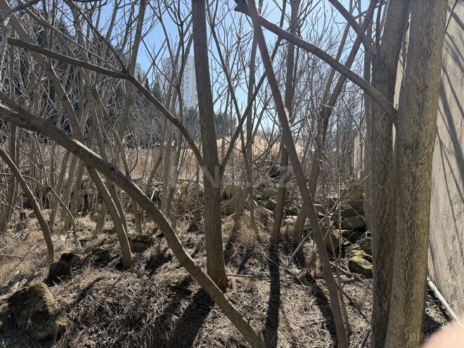 Продаётся  участок 20 сот, пос. Бадамдар, photo 4 from 9