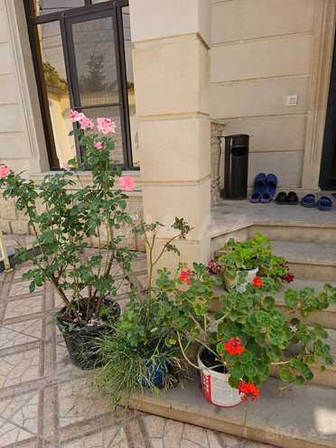 Сдаётся 5-комн. дом/дача 130 м², photo 21 from 32