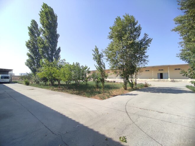 Сдаётся  объект 1 700 м², пос. Ашагы Гюздек, photo 6 from 14