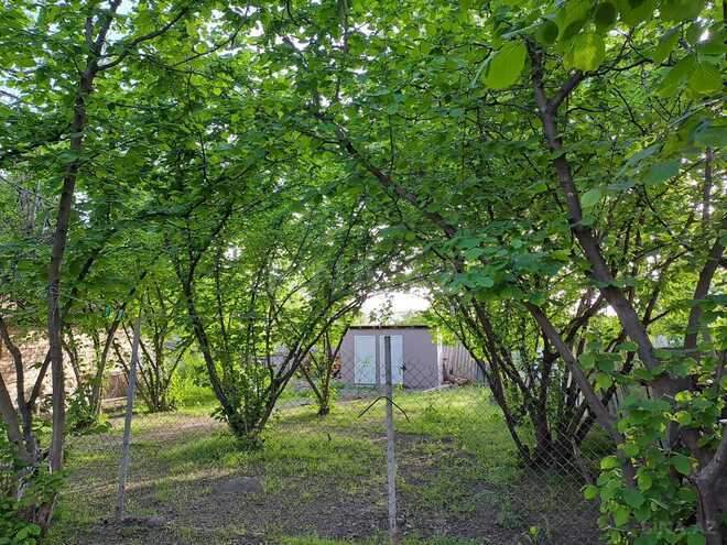 İcarəyə verilir 3 otaqlı həyət evi/bağ evi 100 m², photo 12 from 16