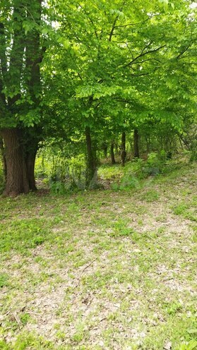 Satılır  torpaq 20 sot, photo 3 from 9