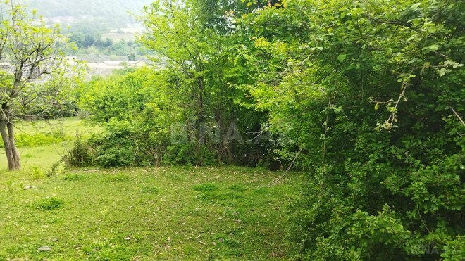 Satılır  torpaq 20 sot, photo 5 from 9