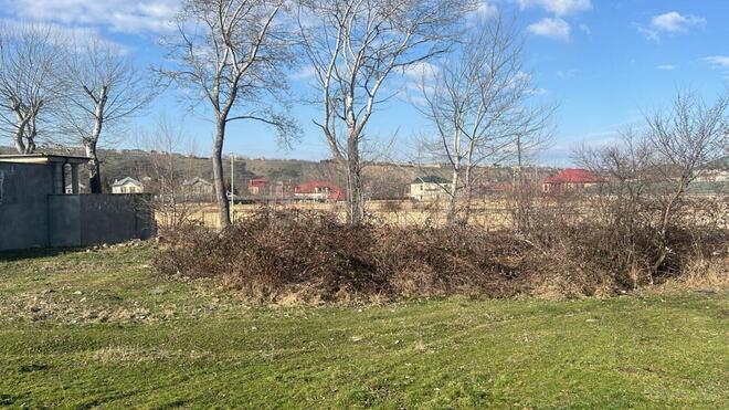 Satılır  torpaq 50 sot, photo 4 from 8