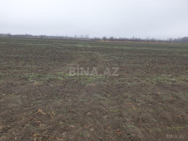 Продаётся  участок 180 сот, photo 5 from 6