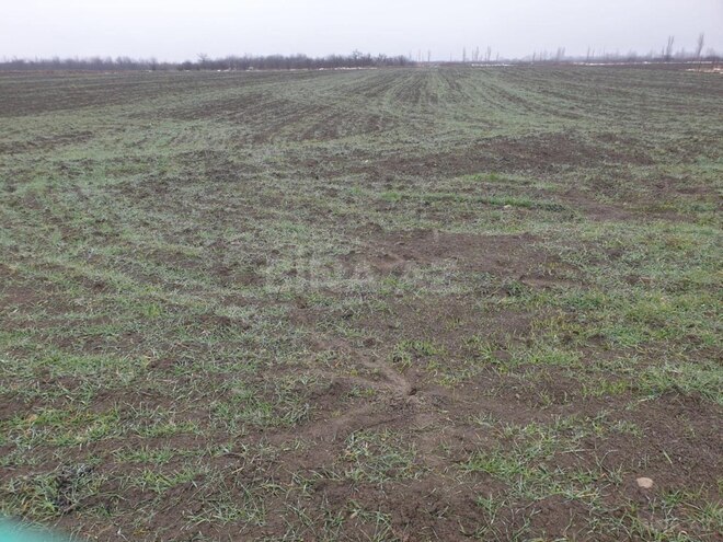 Продаётся  участок 180 сот, photo 4 from 6