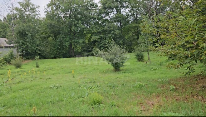 Продаётся  участок 24 сот, photo 5 from 7