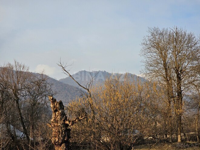 Продаётся  участок 24 сот, photo 6 from 7