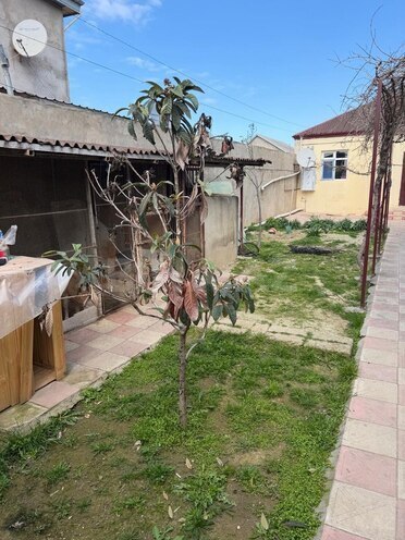 Satılır 3 otaqlı həyət evi/bağ evi 90 m², Savalan q., photo 3 from 18