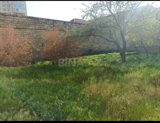 Satılır  torpaq 7.7 sot, Badamdar q., photo 17 from 19
