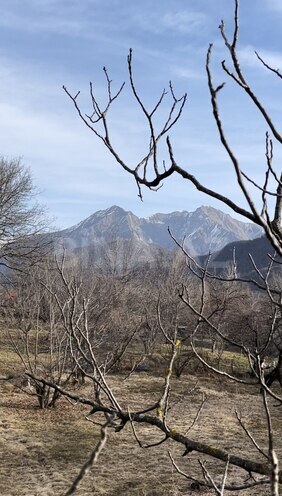 Satılır  torpaq 132 sot, photo 3 from 6