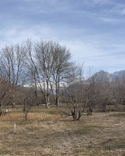 Satılır  torpaq 132 sot, photo 4 from 6