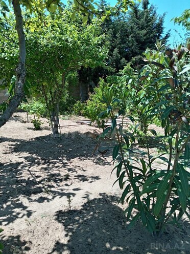 Satılır 3 otaqlı həyət evi/bağ evi 12 m², Qala q., photo 11 from 12
