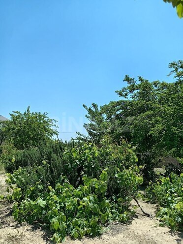 Satılır 3 otaqlı həyət evi/bağ evi 12 m², Qala q., photo 7 from 12