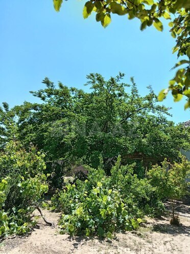 Satılır 3 otaqlı həyət evi/bağ evi 12 m², Qala q., photo 9 from 12