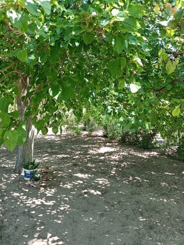 Satılır 3 otaqlı həyət evi/bağ evi 12 m², Qala q., photo 8 from 12