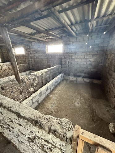 İcarəyə verilir  obyekt 2 500 m², Türkan q., photo 4 from 14