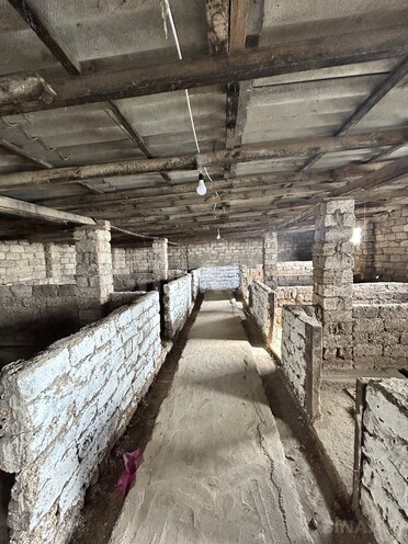 İcarəyə verilir  obyekt 2 500 m², Türkan q., photo 5 from 14