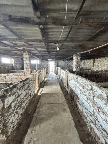 İcarəyə verilir  obyekt 2 500 m², Türkan q., photo 6 from 14