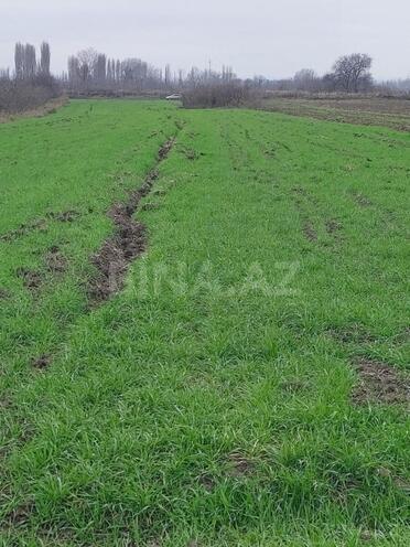 Satılır  torpaq 150 sot, Xaçmaz r., photo 3 from 7