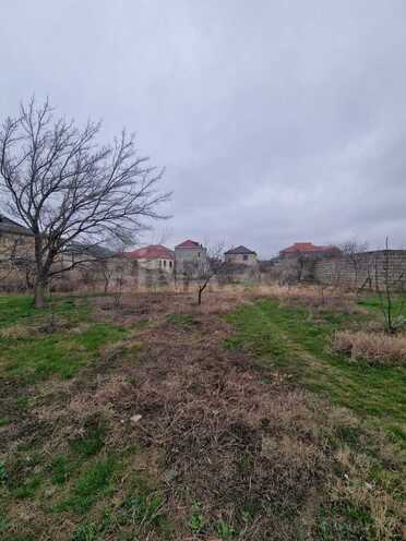 Satılır  torpaq 16 sot, Zabrat q., photo 4 from 6