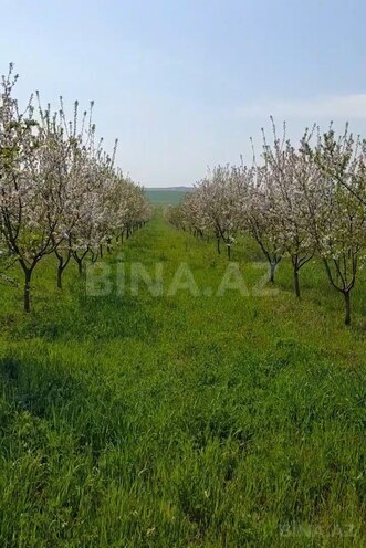 Продаётся  участок 1 200 сот, photo 6 from 8