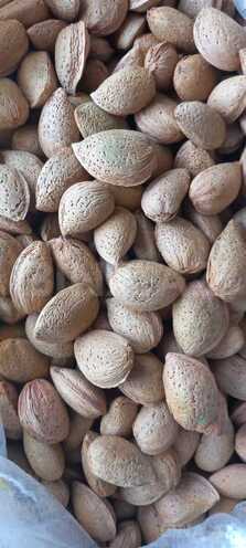 Продаётся  участок 1 200 сот, photo 3 from 8