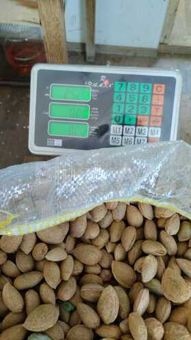 Продаётся  участок 1 200 сот, photo 5 from 8