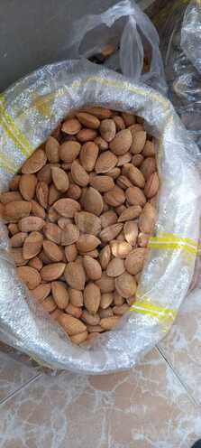 Продаётся  участок 1 200 сот, photo 4 from 8