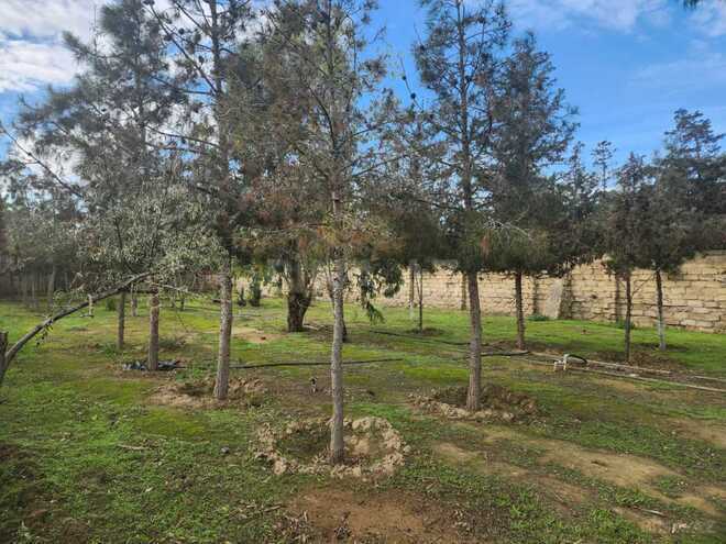 Продаётся  участок 5 сот, Бинагадинский р., photo 3 from 7