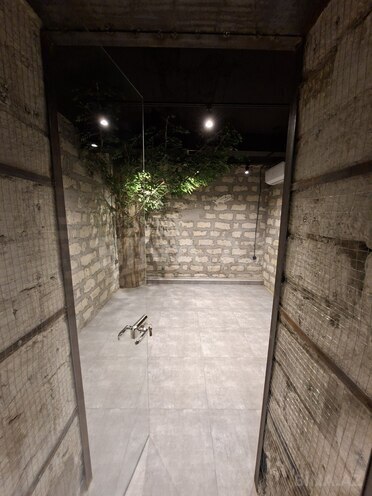 Сдаётся  объект 412 м², м. Сахил, photo 8 from 13