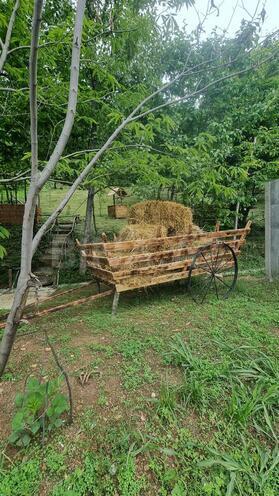 İcarəyə verilir 3 otaqlı həyət evi/bağ evi 300 m², photo 19 from 23