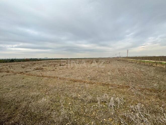 Продаётся  участок 2 400 сот, Сураханский  р., photo 5 from 10