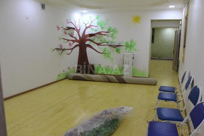 Сдаётся  объект 280 м², м. Низами, photo 4 from 13