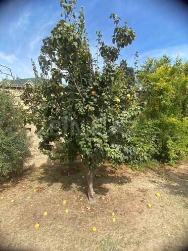 Продаётся  участок 17 сот, пос. Новханы, photo 19 from 27