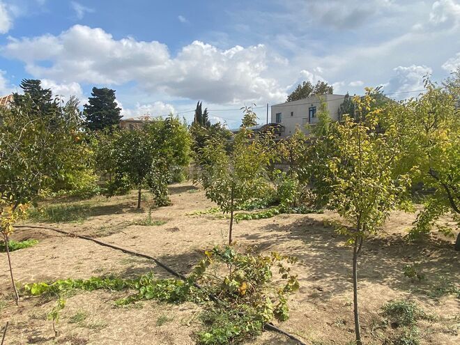 Продаётся  участок 17 сот, пос. Новханы, photo 22 from 27