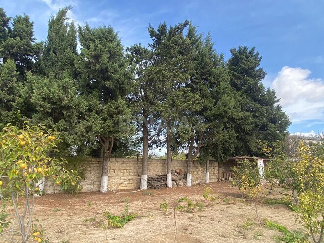 Продаётся  участок 17 сот, пос. Новханы, photo 6 from 27