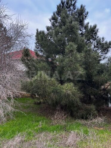 Satılır  torpaq 18 sot, Sea Breeze q., photo 5 from 9