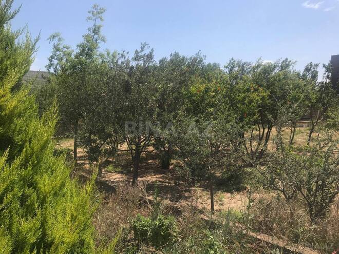 Продаётся 6-комн. дом/дача 250 м², пос. Sea Breeze, photo 5 from 30