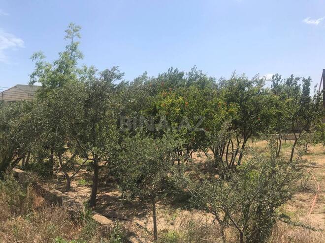 Продаётся 6-комн. дом/дача 250 м², пос. Sea Breeze, photo 21 from 30