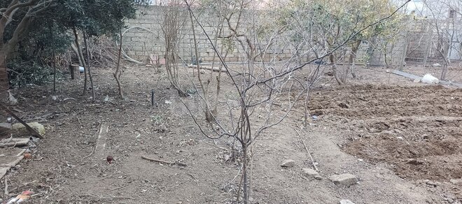 Satılır  torpaq 4 sot, Qala q., photo 9 from 12