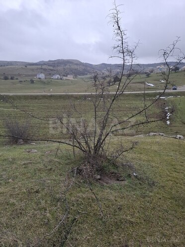 Продаётся  участок 80 сот, photo 9 from 22