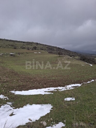 Продаётся  участок 80 сот, photo 5 from 22