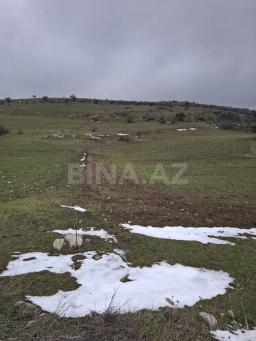 Продаётся  участок 80 сот, photo 4 from 22