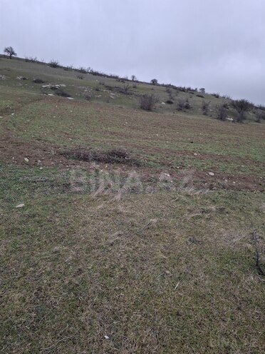 Продаётся  участок 80 сот, photo 6 from 22