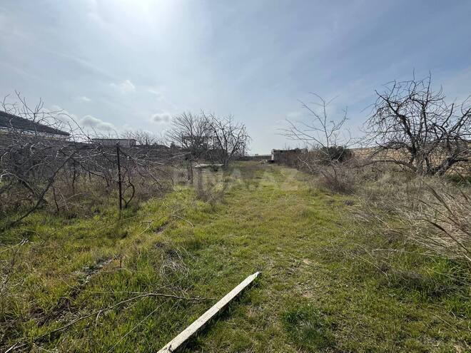 Satılır  torpaq 12 sot, Nardaran q., photo 1 from 9