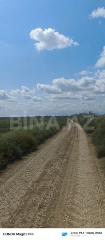 Satılır  torpaq 257 sot, photo 7 from 31