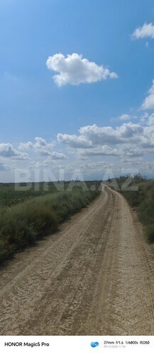 Satılır  torpaq 257 sot, photo 5 from 31